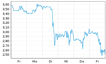 Chart Mini Future Short Canopy - 1 semaine