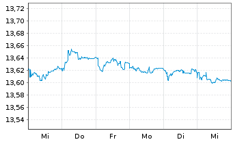 Chart Mini Future Short Hexagon Purus - 1 semaine