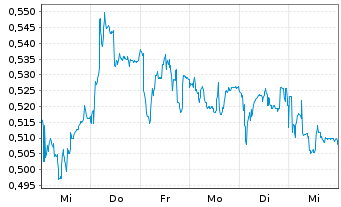 Chart Mini Future Short Hexagon Purus - 1 semaine